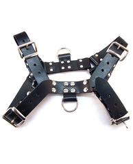 Rouge Over the Head Xlarge Harness - Black